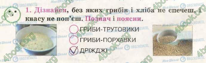 ГДЗ Природознавство 3 клас сторінка Стр42-Впр1